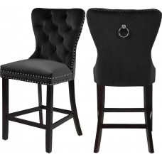 Darby Velvet Counter Stool (Set of 2)